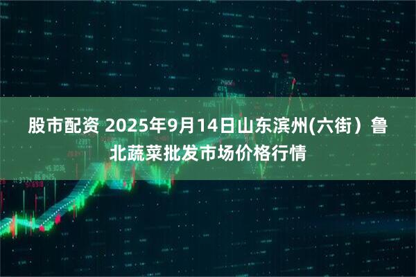 股市配资 2025年9月14日山东滨州(六街）鲁北蔬菜批发市场价格行情