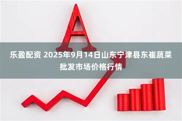 乐盈配资 2025年9月14日山东宁津县东崔蔬菜批发市场价格行情