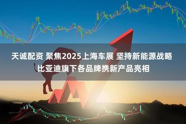 天诚配资 聚焦2025上海车展 坚持新能源战略 比亚迪旗下各品牌携新产品亮相