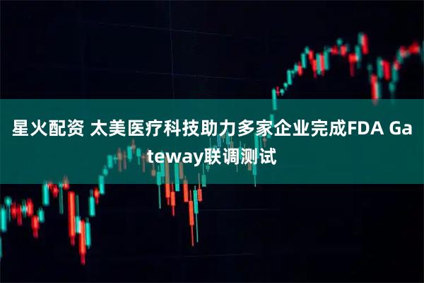 星火配资 太美医疗科技助力多家企业完成FDA Gateway联调测试