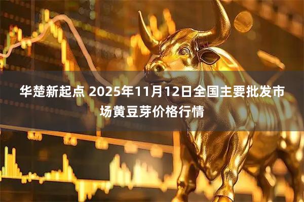 华楚新起点 2025年11月12日全国主要批发市场黄豆芽价格行情