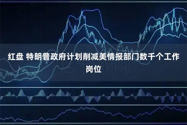 红盘 特朗普政府计划削减美情报部门数千个工作岗位