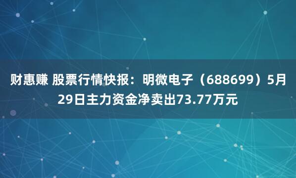 财惠赚 股票行情快报：明微电子（688699）5月29日主力资金净卖出73.77万元