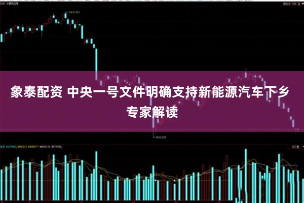 象泰配资 中央一号文件明确支持新能源汽车下乡 专家解读