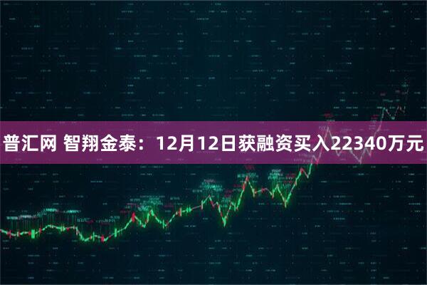 普汇网 智翔金泰：12月12日获融资买入22340万元